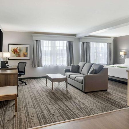 Quality Inn & Suites Amsterdam Fredericton Bagian luar foto