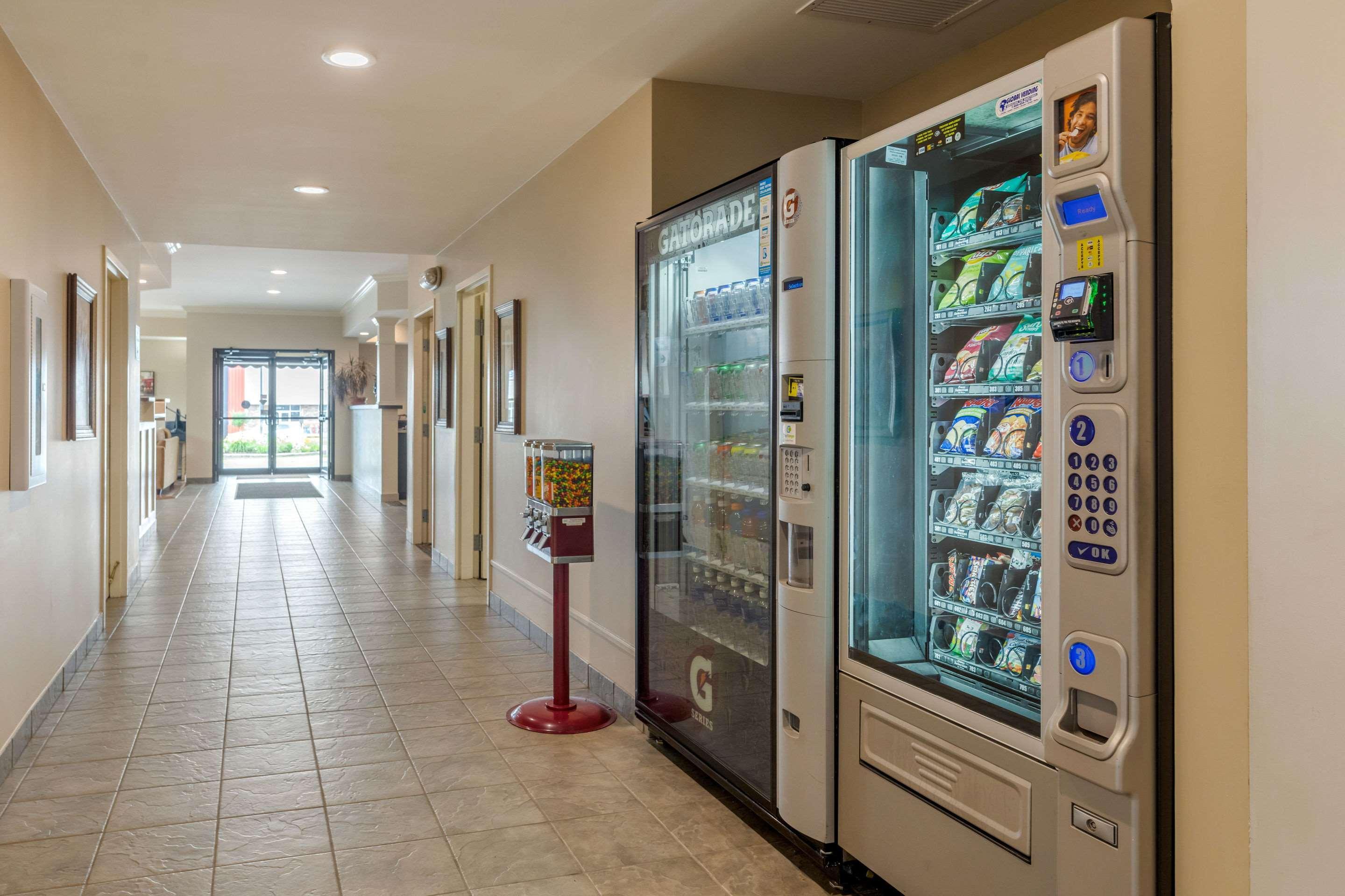 Quality Inn & Suites Amsterdam Fredericton Bagian luar foto