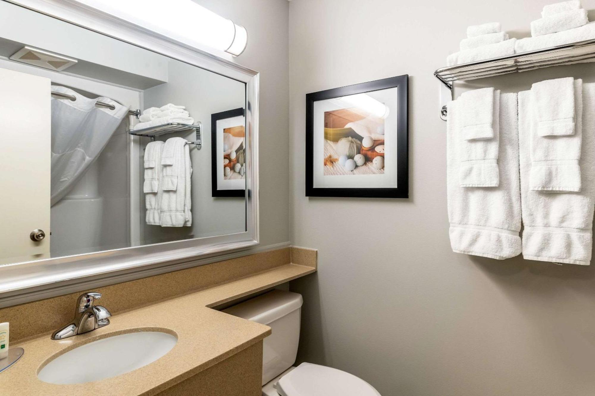 Quality Inn & Suites Amsterdam Fredericton Bagian luar foto