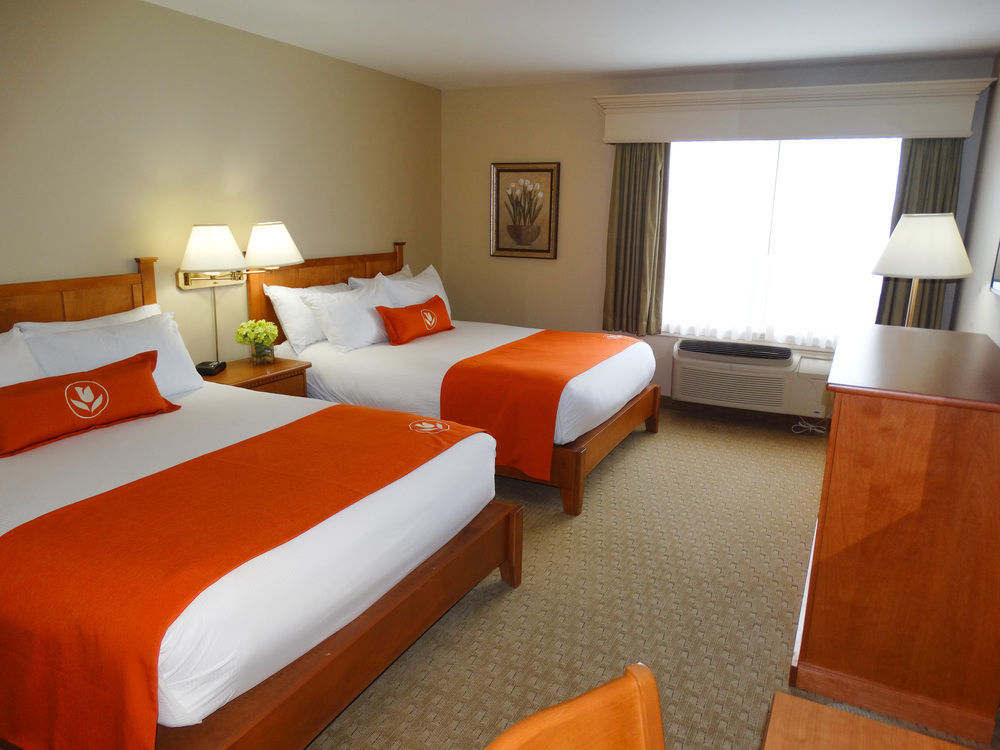 Quality Inn & Suites Amsterdam Fredericton Bagian luar foto
