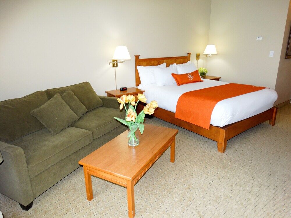 Quality Inn & Suites Amsterdam Fredericton Bagian luar foto